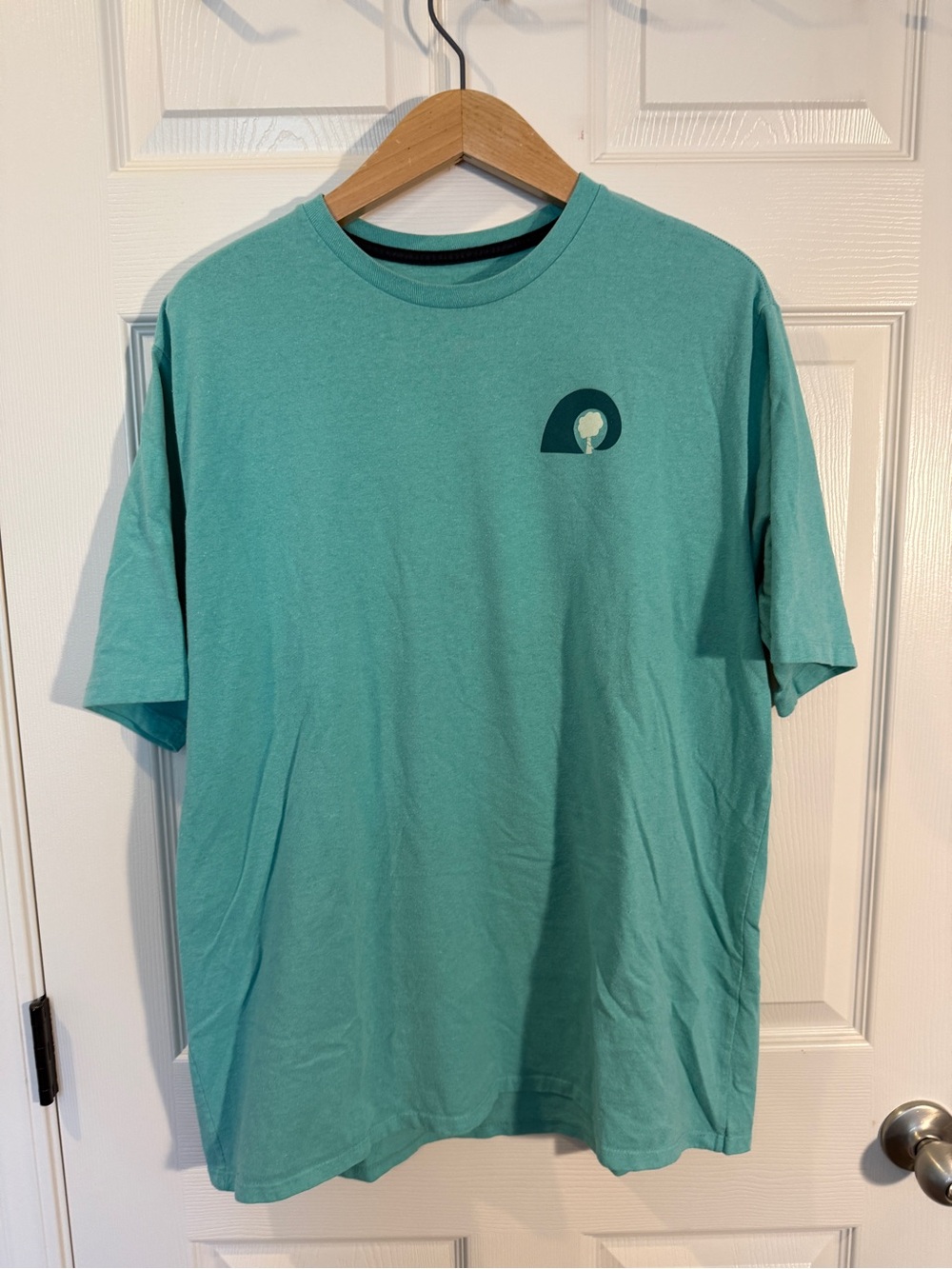 Patagonia Teal Green Short-Sleeve Crewneck Tee with Small Chest Emblem